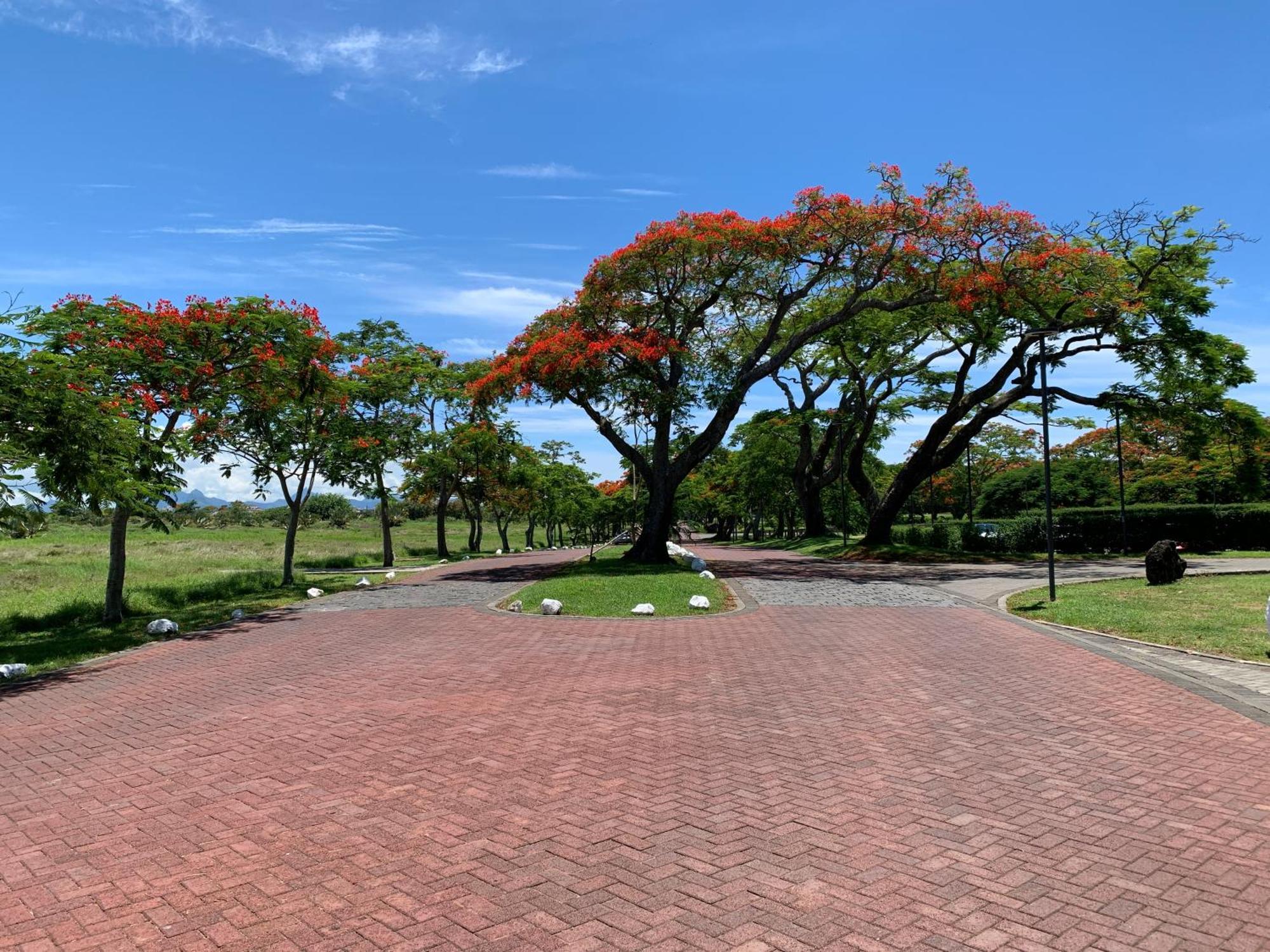 Palm Creek Villa Mont-Choisy Ngoại thất bức ảnh
